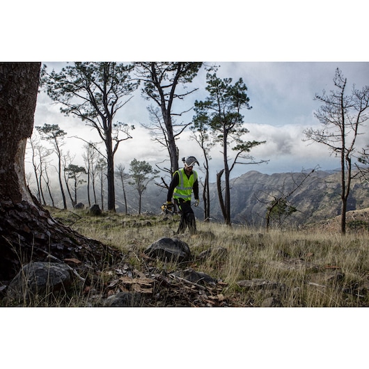 18V XR® 30cm Brushless Compact Chainsaw - 1 x 5Ah