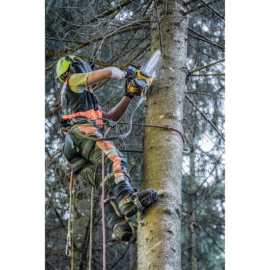 Arborist at height harnessed to tree cutting branches with the Top Handle Chainsaw