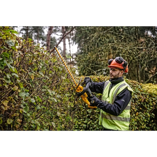 18V XR® 55cm Hedge Trimmer (25mm Blade Gap) - 1 x 5Ah