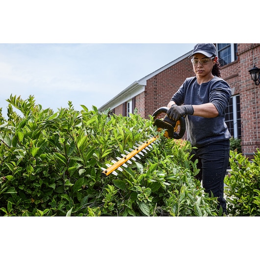 54V XR FLEXVOLT® 65 cm Hedge Trimmer (31 mm Blade Gap) - Bare Tool Only