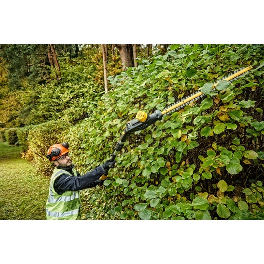 18V XR® 55 cm Pole Hedge Trimmer (25 mm Blade Gap) - Bare Tool Only