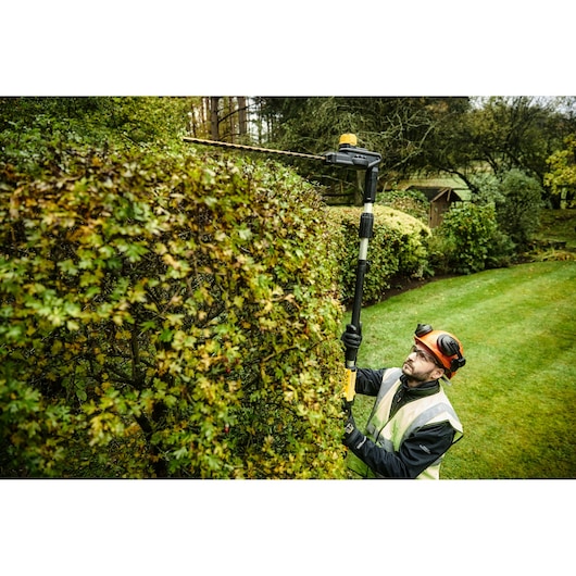 18V XR® 55 cm Pole Hedge Trimmer (25 mm Blade Gap) - Bare Tool Only