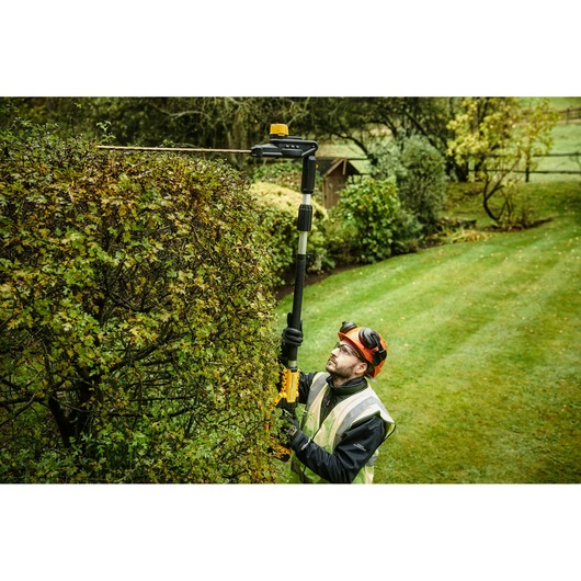 18V XR® 55 cm Pole Hedge Trimmer (25 mm Blade Gap) - Bare Tool Only