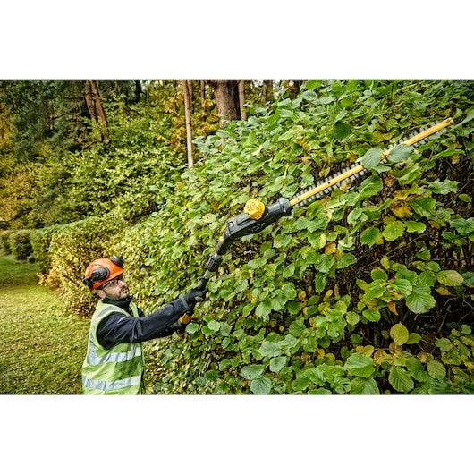 18V XR® 55 cm Pole Hedge Trimmer (25 mm Blade Gap) - 1 x 5Ah