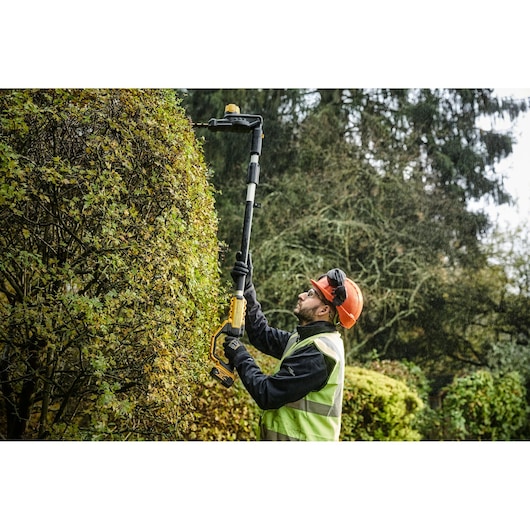18V XR® 55 cm Pole Hedge Trimmer (25 mm Blade Gap) - 1 x 5Ah