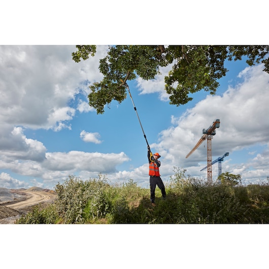 18V XR® 20cm Pole Saw - Bare Tool Only