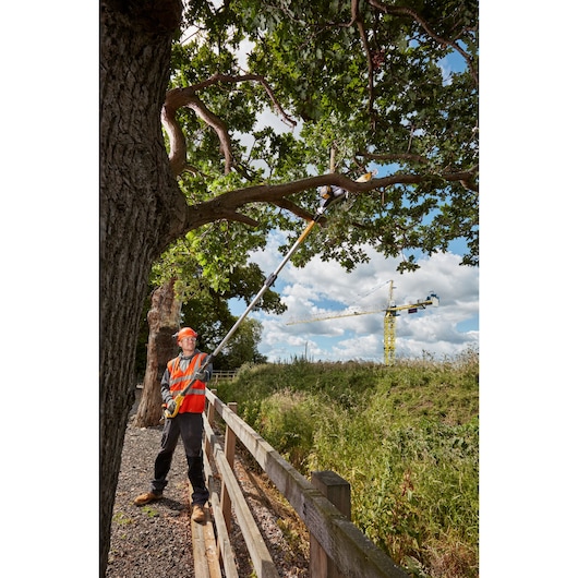 18V XR® 20cm Pole Saw - 1 x 5Ah