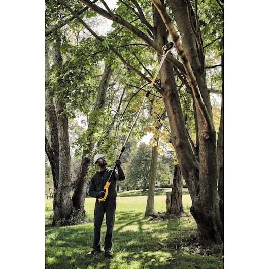 18V XR® 20cm Pole Saw - 1 x 5Ah